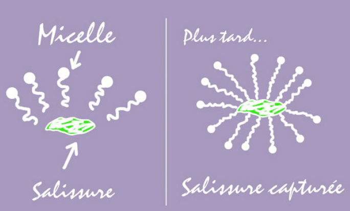 action d'une micelle sur les tâches