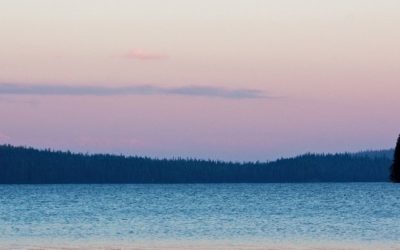 Unissons nous pour réduire notre consommation en eau