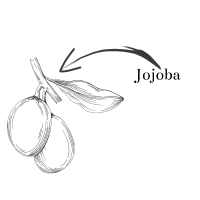 Icon Jojoba