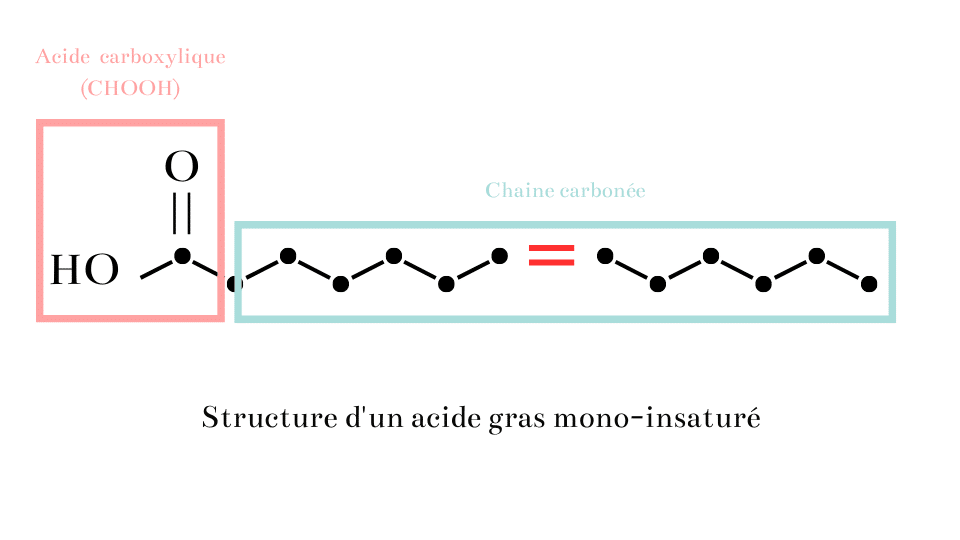 Structure moléculaire d'un Acide Gras Mono Insaturés
