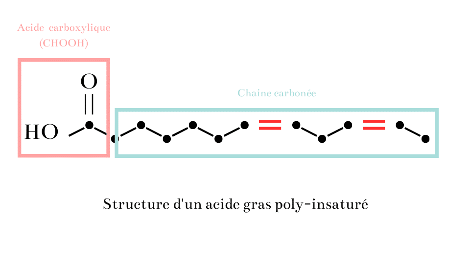 Acide Gras Poly Insaturés