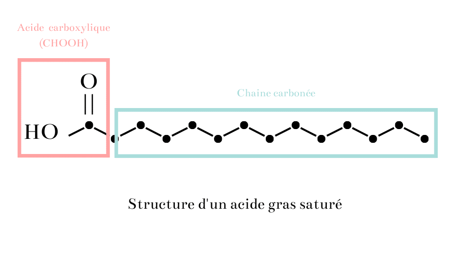 Structure moléculaire d'un Acide Gras Saturés